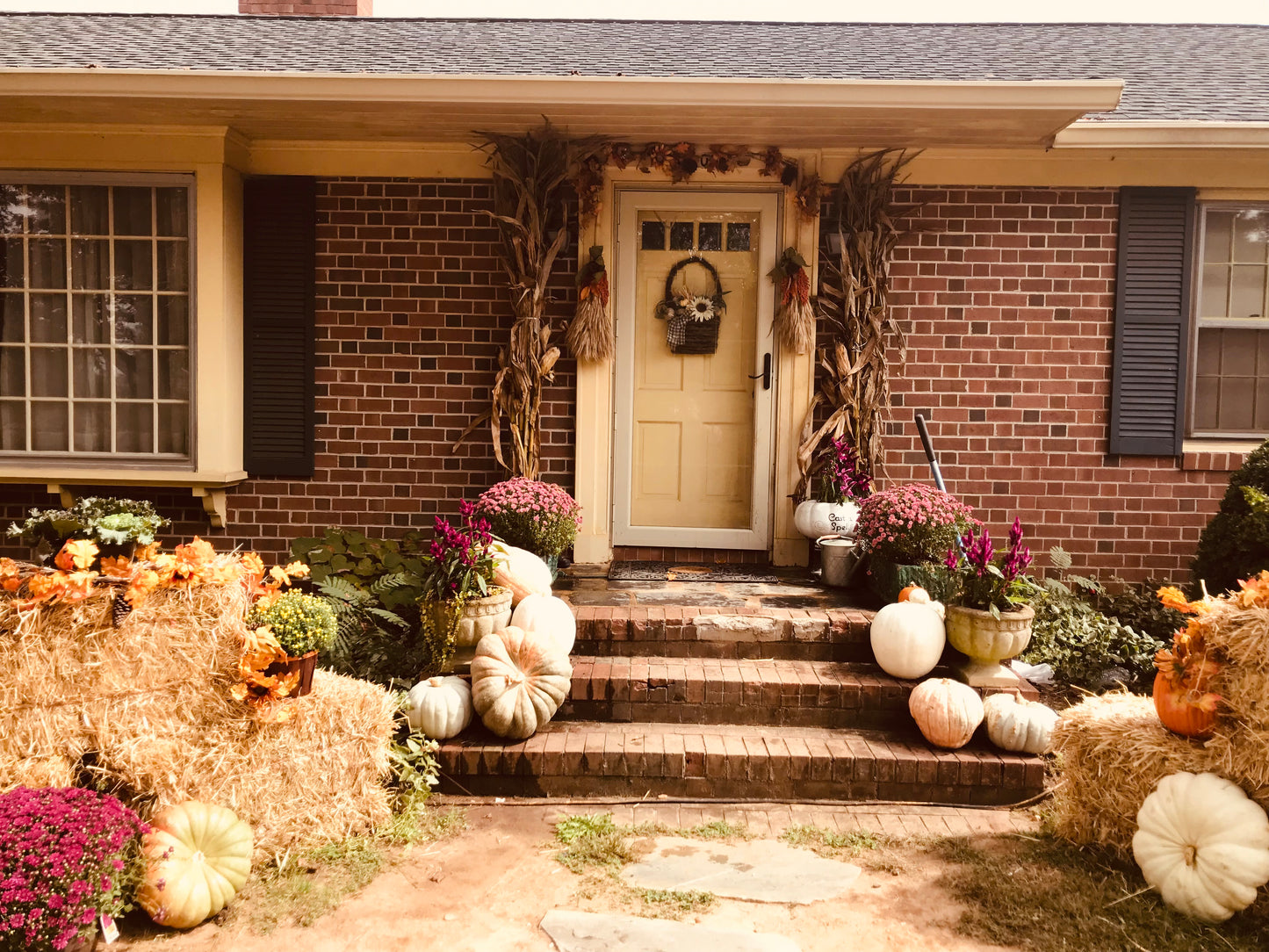 Hello Gourd-geous Package