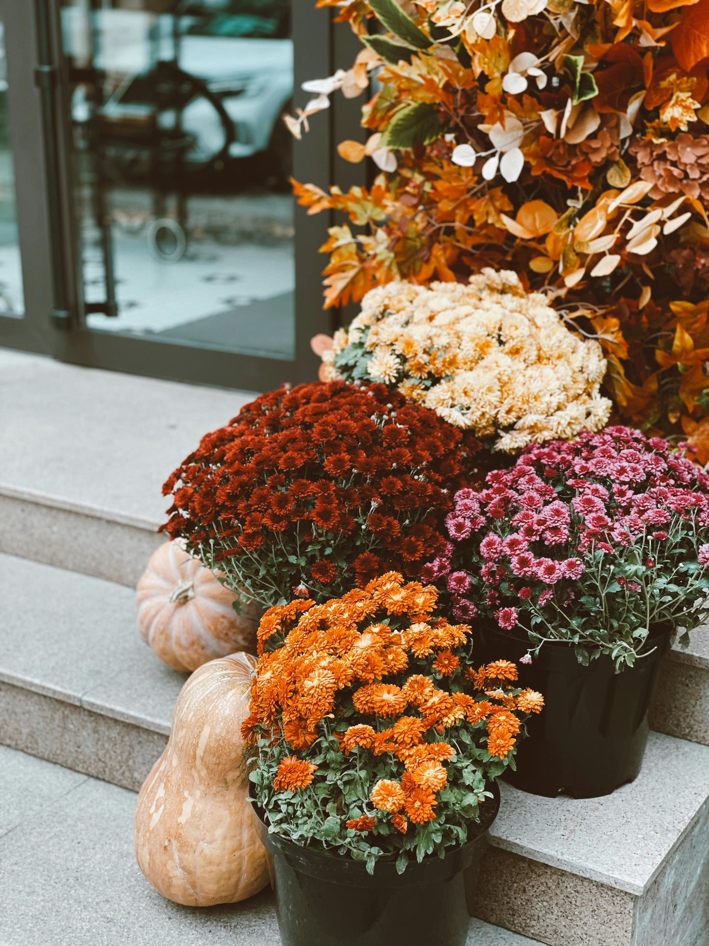 Hello Gourd-geous Package