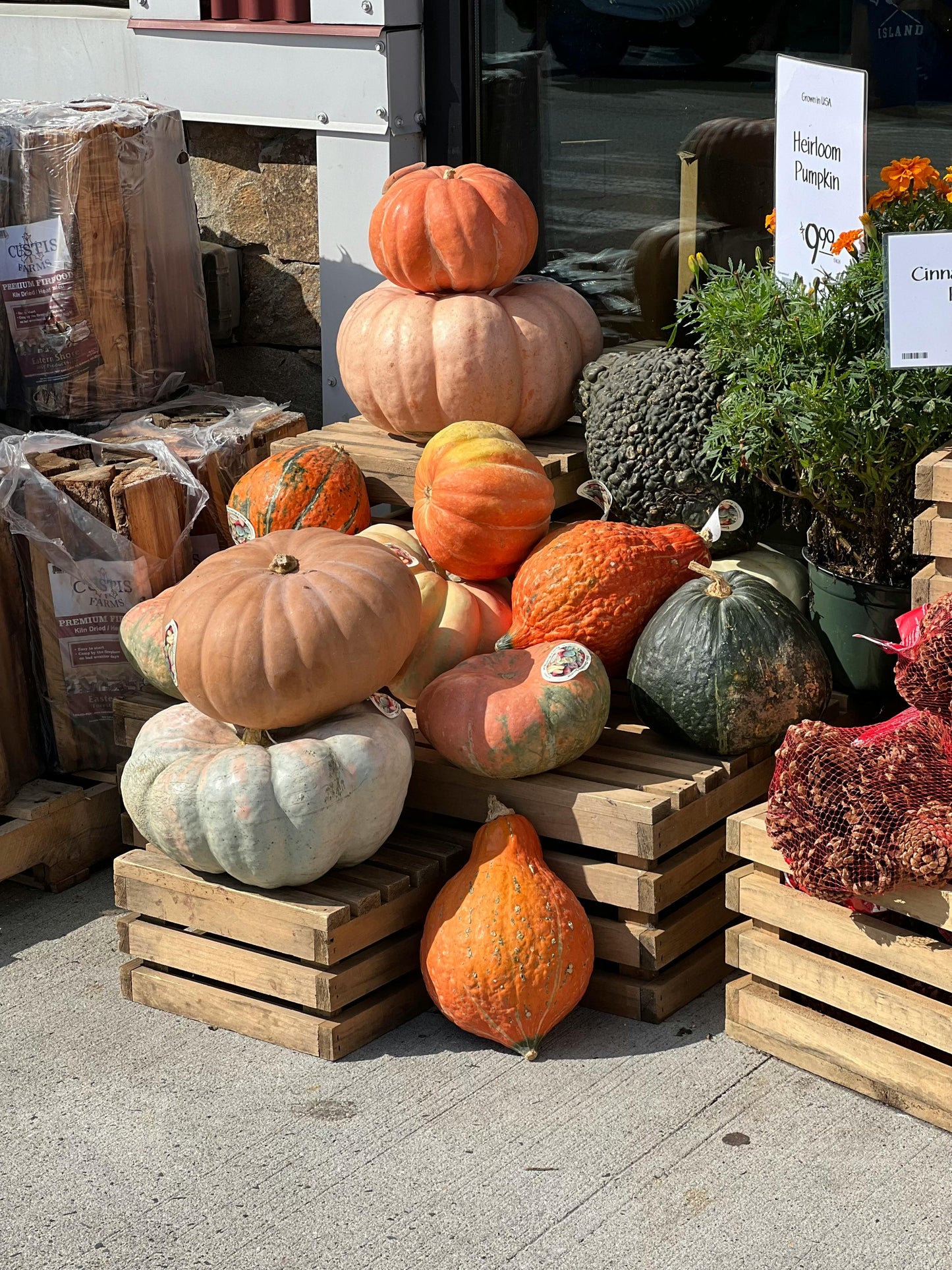 Hello Gourd-geous Package