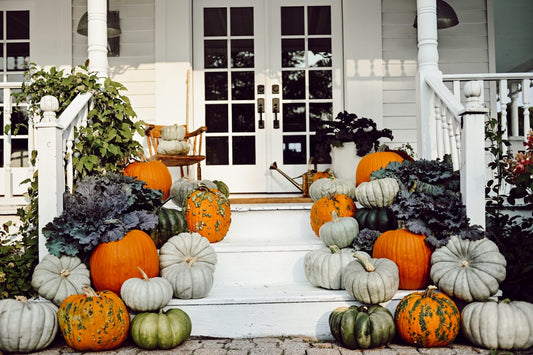 Hello Gourd-geous Package