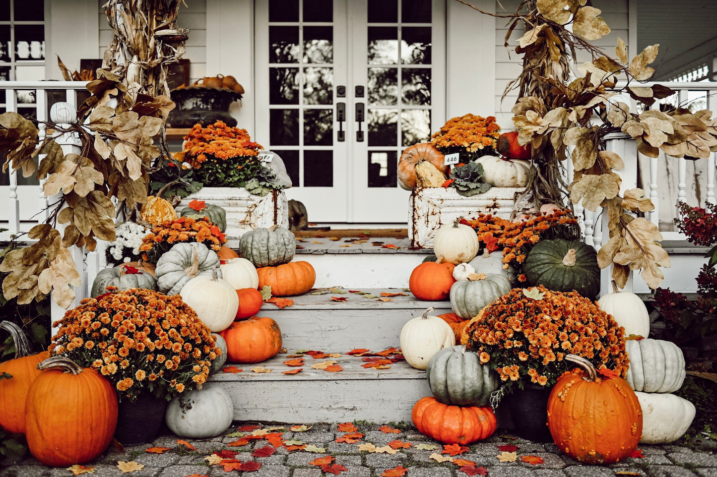 The Great Pumpkin Package